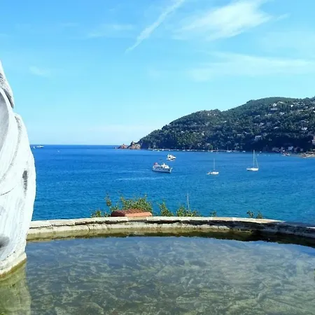 Riou De L'argentiere V * Mandelieu